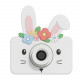 Hase