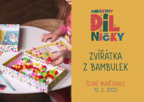 Tvoříme z bambulek - st 12.2.2025,10:00,  České Budějovice