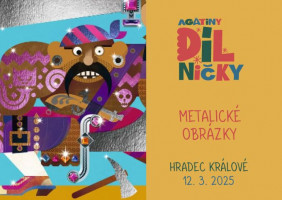 Metalické obrázky: 12.3.2025,15:00, prodejna Hradec Králové