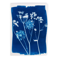 Sešit Cyanotype, A5, 32 listů, linkovaný - luční kvítí