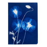 Sešit Cyanotype, A6, 32 listů, linkovaný - květy máku