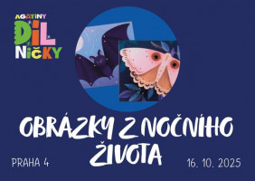 Obrázky z nočního života - čt 16.10.25, 16:00  P4