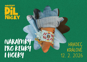 Náramky pro kluky a holky - čt 12.2.26, 15:00 Hradec Králové