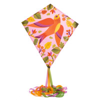 Létající drak - ptáček