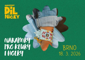 Náramky pro kluky a holky - st 18.3.26, 16:00  Brno