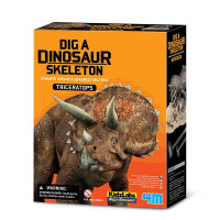 Triceratops-Ausgrabung mit einem Zusammensetzbaren Skelett